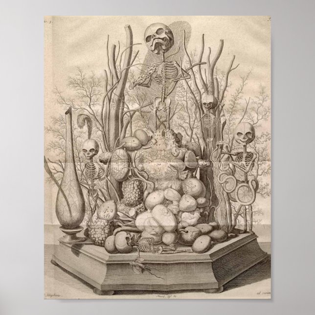 Vintage Anatomical Illustration Poster (Front)