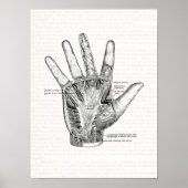 Vintage Anatomy Art The Palm of the Hand Poster (Front)