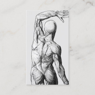 Vintage Anatomy Back Chiropractic Chiropractor Business Card
