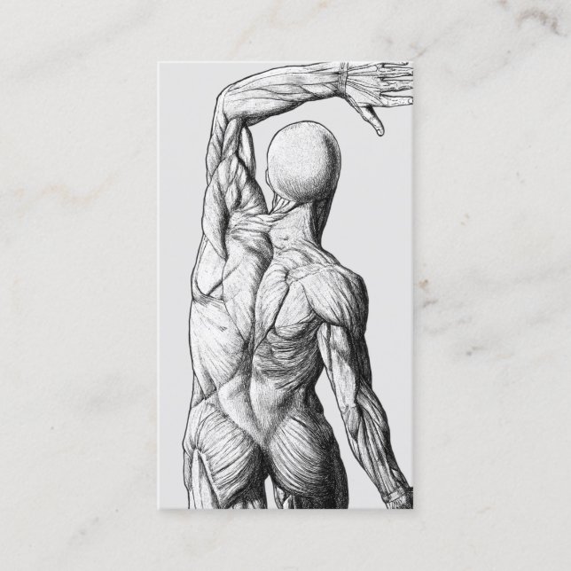Vintage Anatomy Back Chiropractic Chiropractor Business Card (Front)