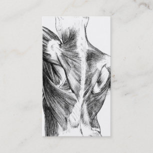 Vintage Anatomy Back Muscles (circa 1852) B/W Business Card