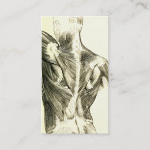 Vintage Anatomy   Back Muscles (circa 1852) Business Card