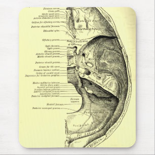 Vintage Anatomy   Base of the skull Inner surface Mouse Mat