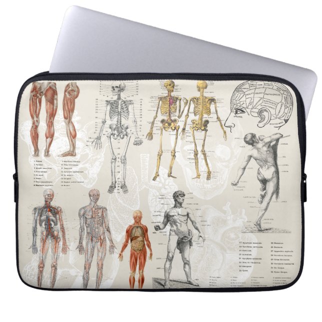 Vintage Anatomy Biology Art Collage  Laptop Sleeve (Front)
