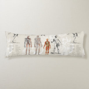 Vintage Anatomy Biology Illustrations Body Cushion