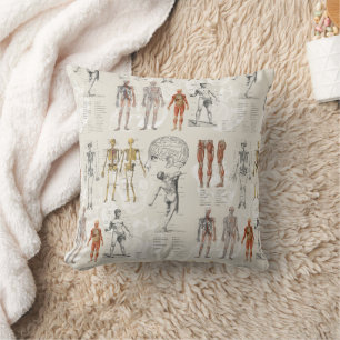 Vintage Anatomy Biology Illustrations Cushion
