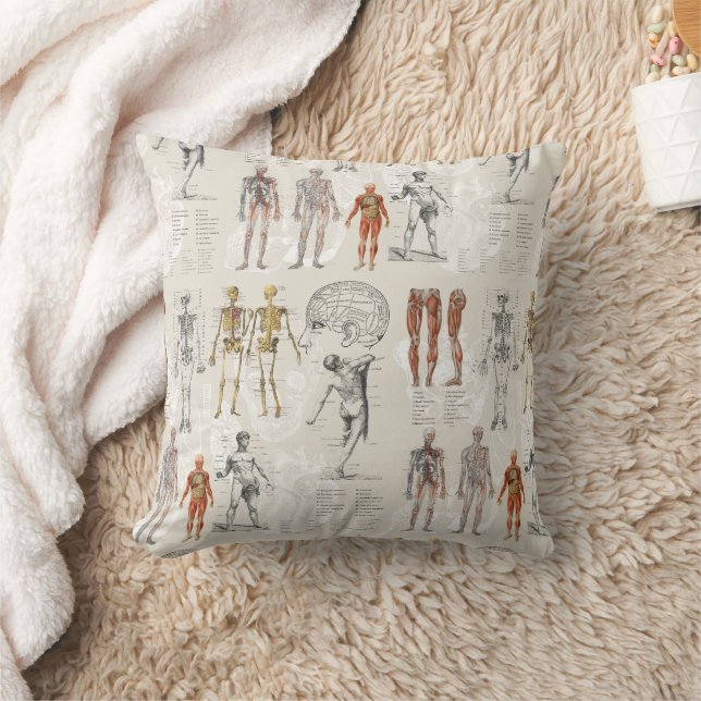 Vintage Anatomy Biology Illustrations Cushion (Blanket)