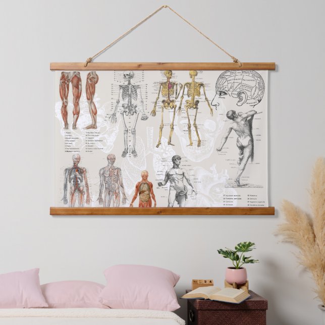 Vintage Anatomy Biology Illustrations Hanging Tapestry (Bedroom)