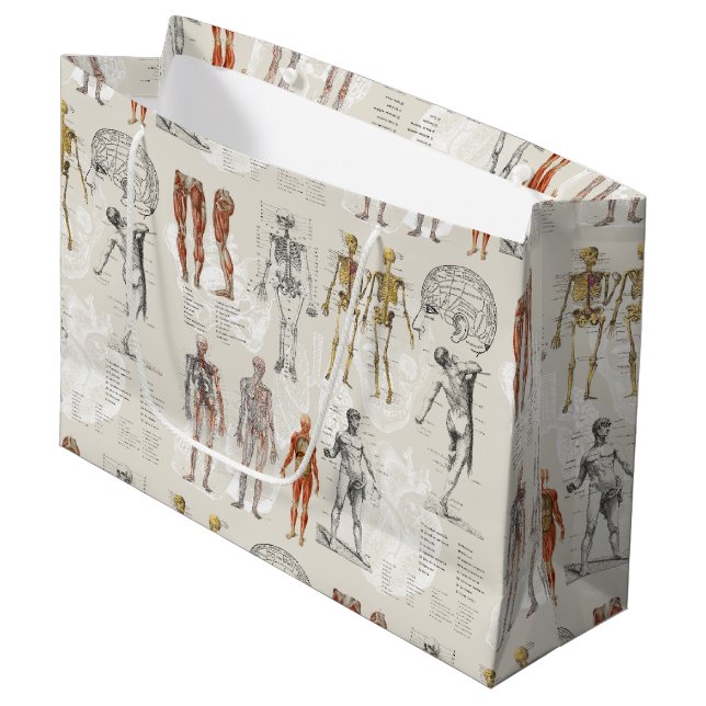 Vintage Anatomy Biology Illustrations Large Gift Bag (Front Angled)