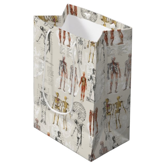 Vintage Anatomy Biology Illustrations Medium Gift Bag (Front Angled)