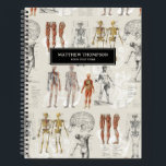 Vintage Anatomy Biology Illustrations Notebook<br><div class="desc">A beautiful collage of vintage anatomy and biology illustrations. Perfect design for medical students,  doctors,  nurses,  surgeons,  pharmacist,  therapists etc.</div>