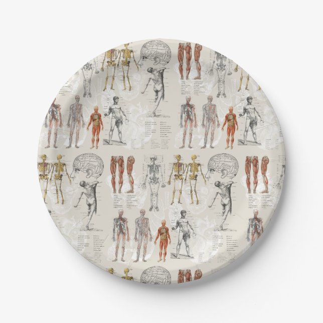 Vintage Anatomy Biology Illustrations Paper Plate (Front)