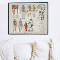 Vintage Anatomy Biology Illustrations