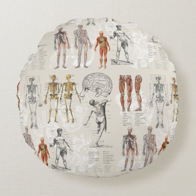 Vintage Anatomy Biology Illustrations Round Cushion (Front)