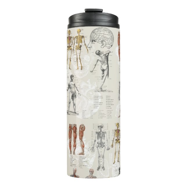 Vintage Anatomy Biology Illustrations Thermal Tumbler (Front)