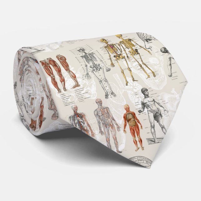 Vintage Anatomy Biology Illustrations Tie (Rolled)