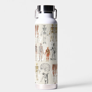 Vintage Anatomy Biology Illustrations Water Bottle