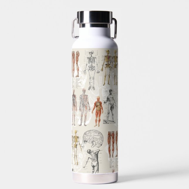 Vintage Anatomy Biology Illustrations Water Bottle (Front)