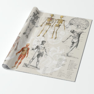 Vintage Anatomy Biology Illustrations Wrapping Paper