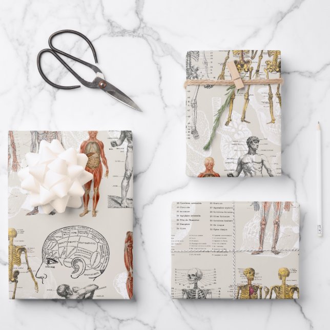 Vintage Anatomy Biology Illustrations Wrapping Paper Sheet (Front)