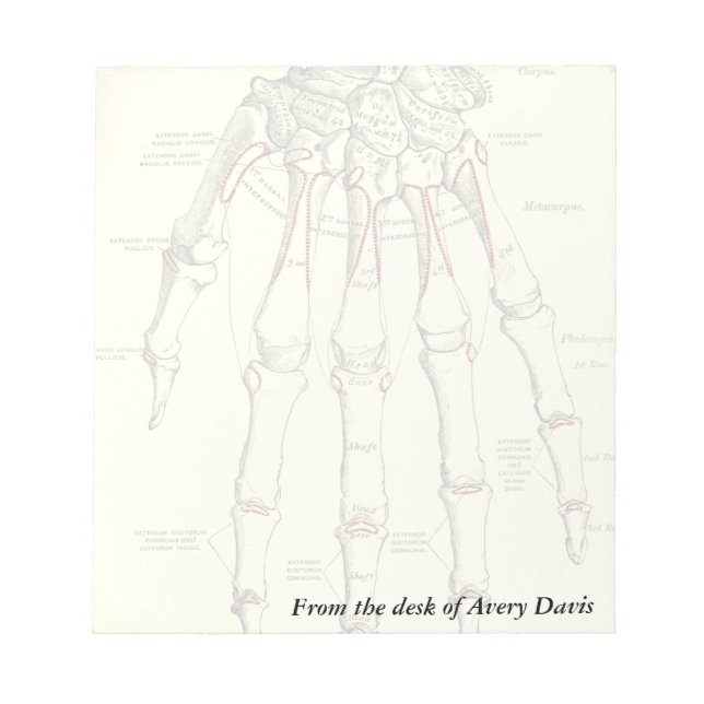 Vintage Anatomy | Bones of the Hand Notepad (Front)