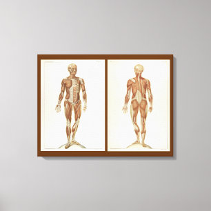 Vintage Anatomy Book Pages Canvas Print