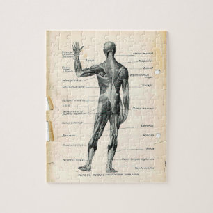 Vintage Anatomy Book Pages Jigsaw Puzzle