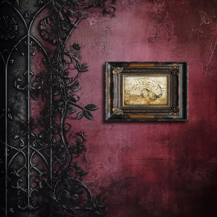 Vintage Anatomy Brain Diagram Photo Print