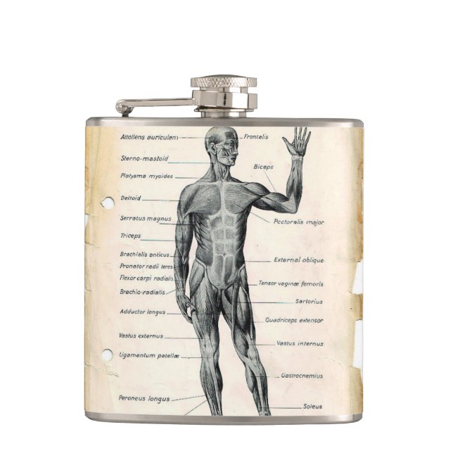 Vintage Anatomy Drawing Hip Flask (Front)