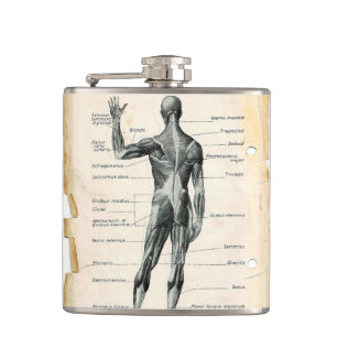 Vintage Anatomy Drawing Hip Flask