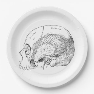 Vintage Anatomy Drawing Human Temporal Muscle Paper Plate