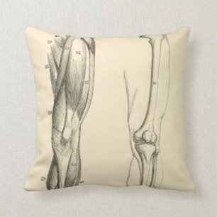 Vintage Anatomy Muscles and Bones of the Leg Cushion