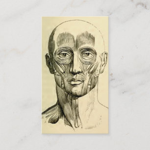 Vintage Anatomy Muscles of the Face (circa 1852) Business Card