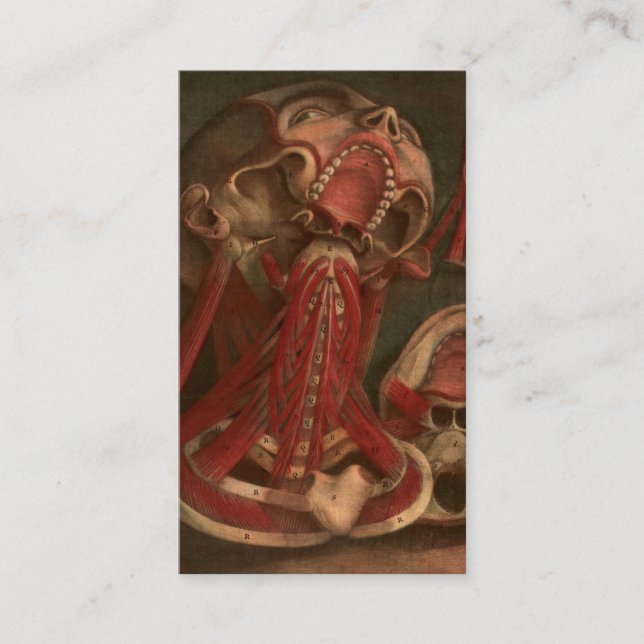 Vintage Anatomy | Neck and Face Business Card (Front)