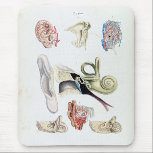 Vintage Anatomy of the Human Ear Mouse Mat