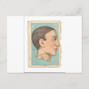 Vintage Anatomy Photo Head Postcard