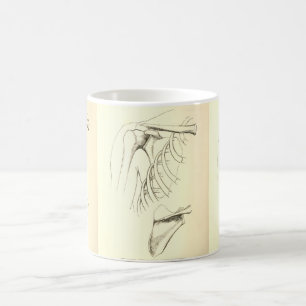 Vintage Anatomy   Scapula (circa 1852) Coffee Mug