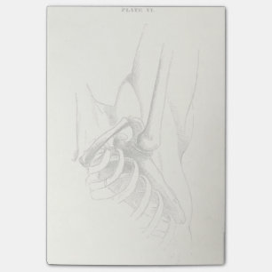 Vintage Anatomy Shoulder Joint (circa 1852) Post-it Notes