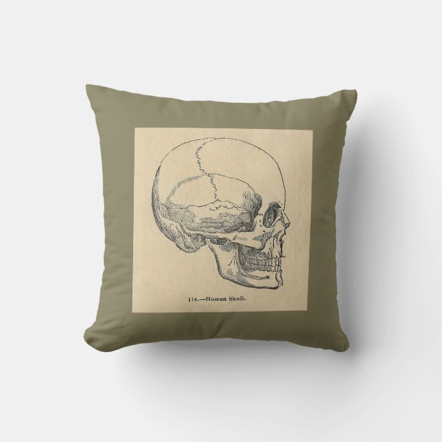 Vintage Anatomy Skull Throw pillow (Front)