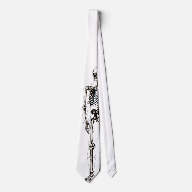 Vintage Anatomy Tie (Front)