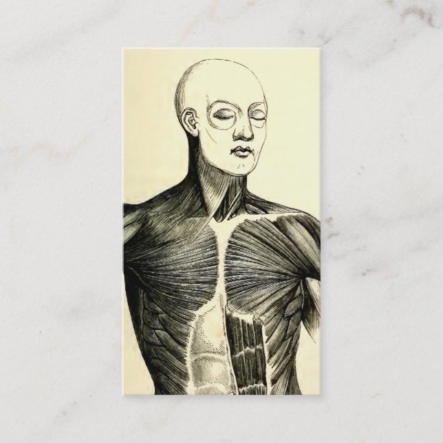 Vintage Anatomy | Torso  (circa 1852) Business Card (Front)