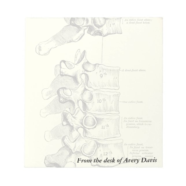 Vintage Anatomy | Vertebrae Notepad (Front)