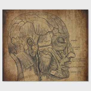 Vintage Anatomy  Wrapping Paper