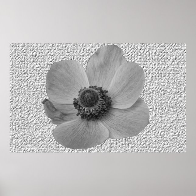 Vintage Anemone Flower Print (Front)