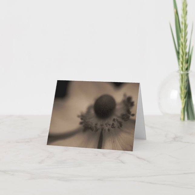 Vintage Anemone Greetings & Note Card (Front)