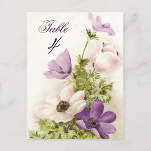 Vintage Anemone Postcard