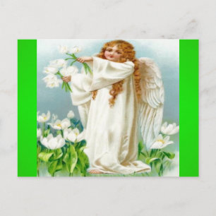 Vintage Angel Holding White Flowers Postcard