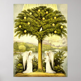 Vintage Angels & Dove in Lemon Tree Poster