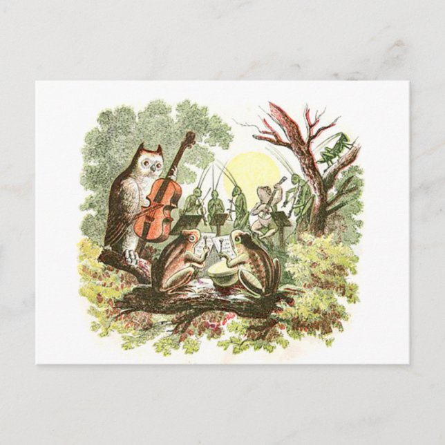 Vintage Animal Band Postcard (Front)