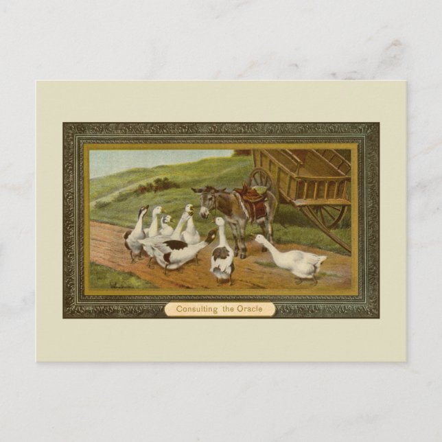 Vintage animal illustration Consulting the Oracle Postcard (Front)